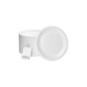 Einweg-Pappteller papierbasiert – 23 cm